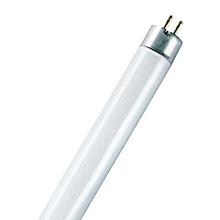 Osram Tubo fluorescente Interna (T5, Blanco cálido, 13 W, Largo: 52 cm)