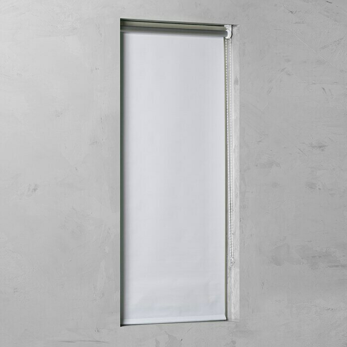 Rolo Basic (Š x V: 120 x 175 cm, Bijelo, Zamračenje)