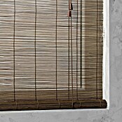 Bambusrollo Basic (B x H: 140 x 160 cm, Braun)