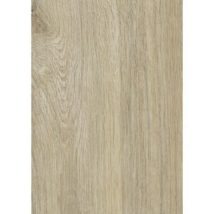 Laminat Oak (L x B x S: 1.285 cm x 192 cm x 7 mm, Landhausdiele, Eiche Natur Hell)