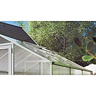 KGT Dachfenster (62 x 102 x 5 cm, Passend für: KGT Gewächshäuser Tulpe, Farbe: Pressblank)