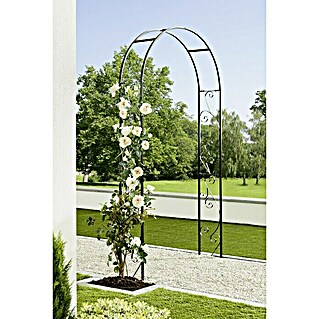 Gardol Arco para rosales Elian (Negro, 26 x 120 x 240 cm)