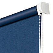 Estor enrollable Roll-up (An x Al: 80 x 180 cm, Azul, Opaco)