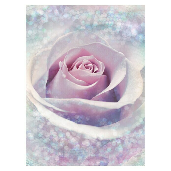 Komar Into Illusions Fototapete Delicate Rose (2-tlg., 184 x 248 cm)