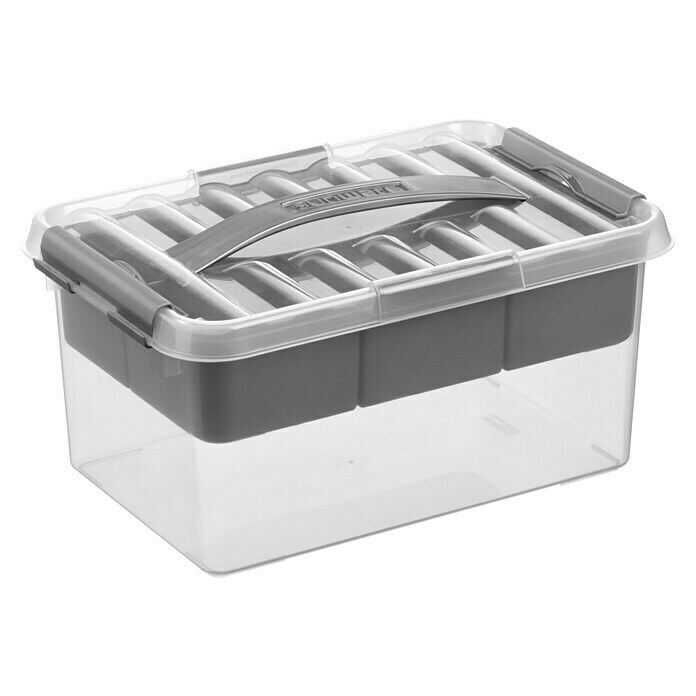 Sunware Aufbewahrungsbox Q-Line mit Einsatz (L x B x H: 30 x 20 x 14 cm, Kunststoff, Transparent)