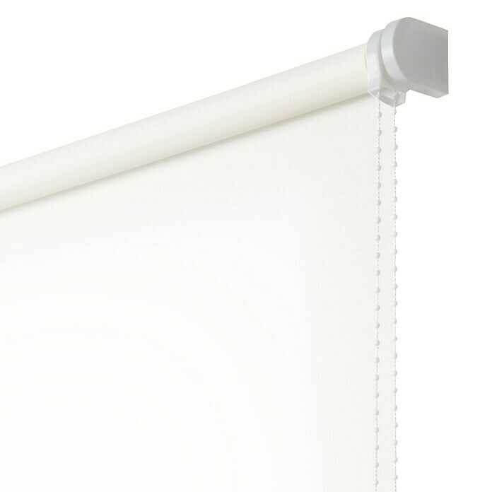 Estor enrollable Roll-up  (An x Al: 80 x 180 cm, Blanco nieve, Traslúcido)