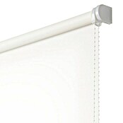 Estor enrollable Roll-up  (An x Al: 120 x 180 cm, Blanco nieve, Traslúcido)