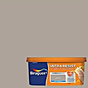Bruguer Ultra Resist Pintura para paredes gris bronce (4 l, Mate)