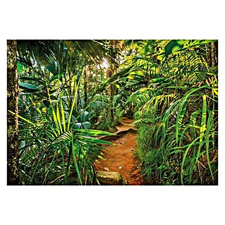 Komar Foto tapeta Jungle Trail (8 -dij., Š x V: 368 x 254 cm, Papir)