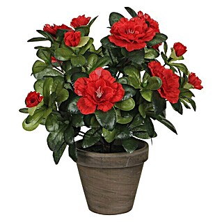 Planta artificial Azalea (Altura: 27 cm, Rojo, Plástico)