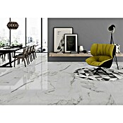 Pavimento porcelánico Palatina (60,5 x 60,5 cm, Blanco Carrara, Brillante)