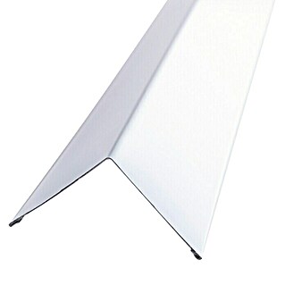 THU Ceiling Solutions Perfil angular T24 (3 m x 24 mm x 24 mm, Acero, Blanco)