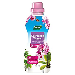 Westland Orchideen-Nahrung (Inhalt: 720 ml)