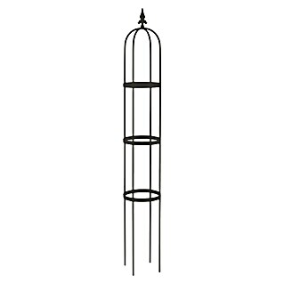 Rankhilfe Obelisk Oscar (Schwarz, Höhe: 160 cm)