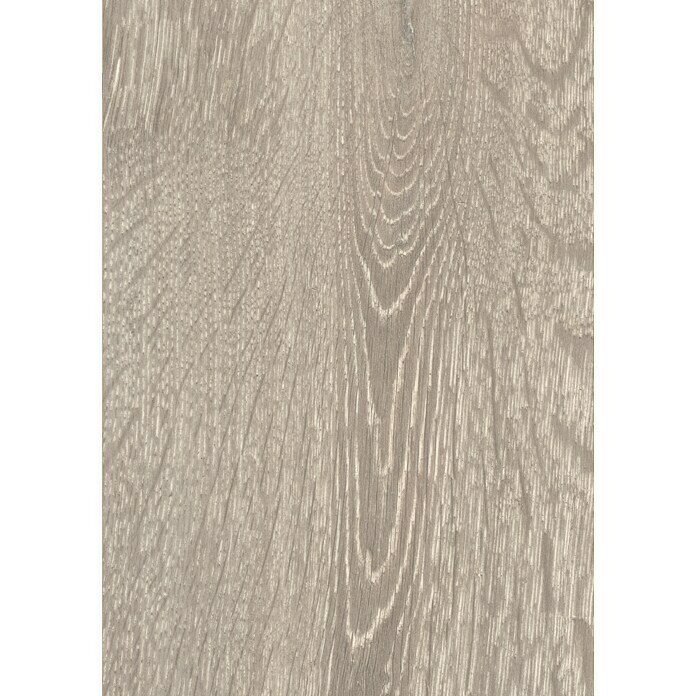 Laminat Oak (L x B x S: 1.285 cm x 192 cm x 7 mm, Landhausdiele, Eiche Natur Grau)