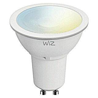WiZ LED-Leuchtmittel (GU10, 5,5 W, PAR51, 350 lm)
