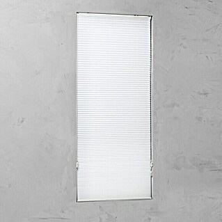 Plissee Tageslicht (B x H: 80 x 240 cm, Weiß, Tageslicht)