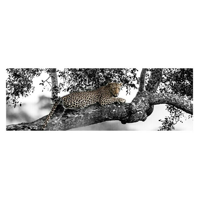 Impresión artística Leopardo en rama (Leopard on branch, 135 x 45 cm)