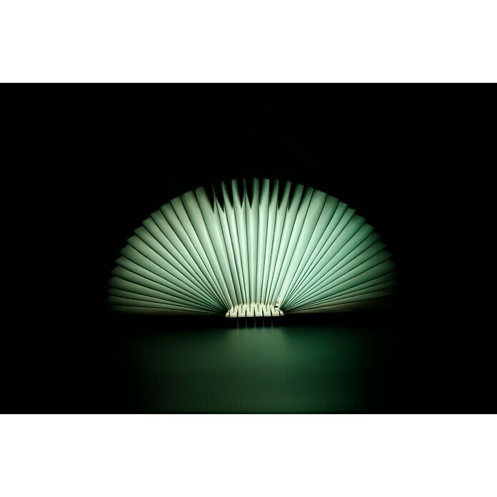 LED-Nachtlicht Book (Braun/Transparent, 2,5 x 9 x 12,3 cm, RGBW)