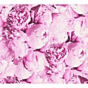 AS Creation Neue Bude 2.0 ED II Vliestapete Pfingstrose (Pink, Floral, 10,05 x 0,53 m)