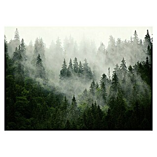 Fototapete Bäume-Nebel (416 x 254 cm, Vlies)