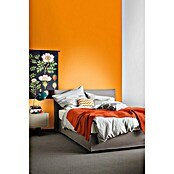 Schöner Wohnen Wandfarbe Trendfarbe (Mango, 1 l, Matt)
