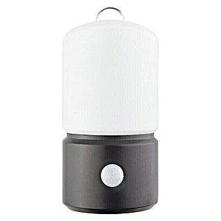 Ritter Leuchten LED svjetiljka sa senzrom pokreta (1 W, Držač, 80 x 55 x 155 mm, Crne boje)