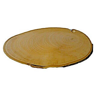 Disco de tronco de madera Oval (Castaño, Sin tratar, Diámetro: 15 cm - 20 cm)