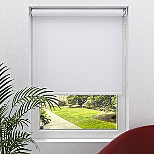 Rollo Screen (B x H: 60 x 190 cm, Weiß, Tageslicht)