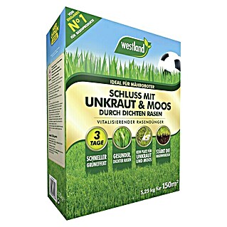 Westland Rasendünger Schluss mit Unkraut & Moos (5,25 kg, Inhalt ausreichend für ca.: 150 m²)