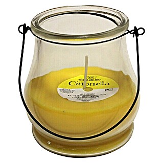 Duftkerze Citronella im Glas (Hängend, Ø x H: 12 cm x 12,5 mm, Gelb)