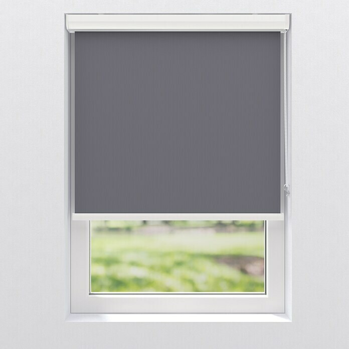 Expo Ambiente Rollo mit Kassette (B x H: 110 x 175 cm, Grau)