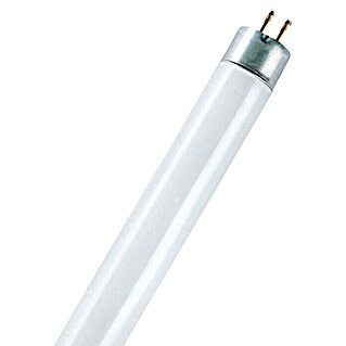 Osram Leuchtstoffröhre Basic (T5, Kaltweiß, 13 W, Länge: 52 cm)
