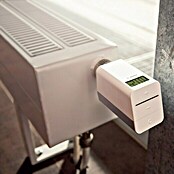 Bosch Smart Home Heizkörper-Thermostat (Batteriebetrieben, Reichweite Funk: > 100 m (Freifeld), M30 x 1,5 mm)