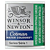 Winsor & Newton Cotman Aquarelverf (Intensief groen, ½ kopje)