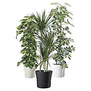 SK Okrugla tegla za biljke Tahiti (Maks. vanjski promjer: 28 cm, Antracit)