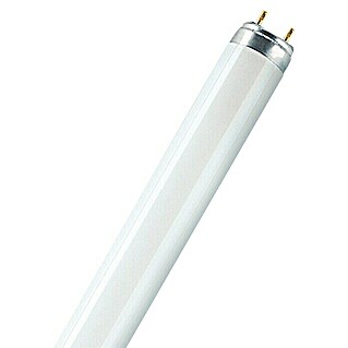 Osram Leuchtstoffröhre Interna (T8, Warmweiß, 16 W, Länge: 72 cm, Energieeffizienzklasse: G)