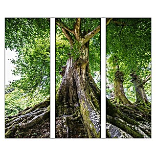 Glasbild (Tree Of Life, B x H: 90 x 80 cm, 3 -tlg.)