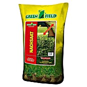 Greenfield Nachsaat-Rasen (5 kg, Inhalt ausreichend für: 250 m²)
