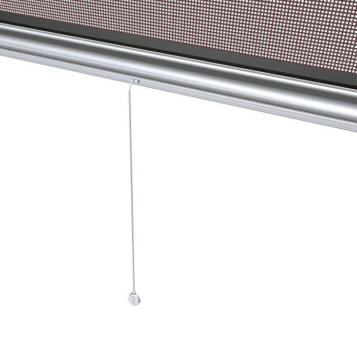 Windhager Insektenschutz-Fensterrollo Plus (100 x 160 cm, Anthrazit, Klebebefestigung)