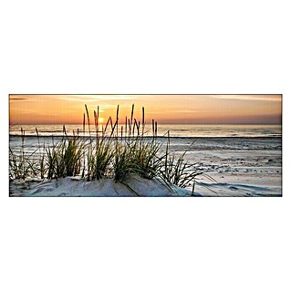 ProArt Maritime Glasbild (Lonely Dune, B x H: 80 x 30 cm)