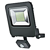 Osram LED-Strahler Endura Flood (Anthrazit, Sensor, 50 W, IP44)