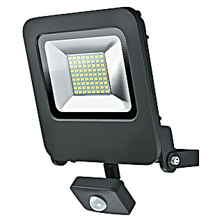 Ledvance LED reflektor Endura Flood (Antracit, Senzor, 50 W, IP44)