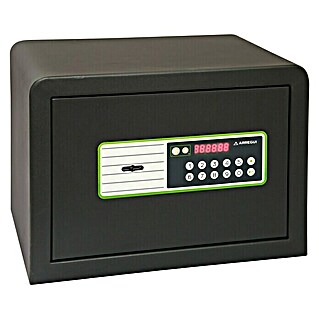 Arregui Caja fuerte Supra 240020 (L x An x Al: 35 x 25 x 25 cm, Tipo de cerradura: Códigos de usuario, 16 l)