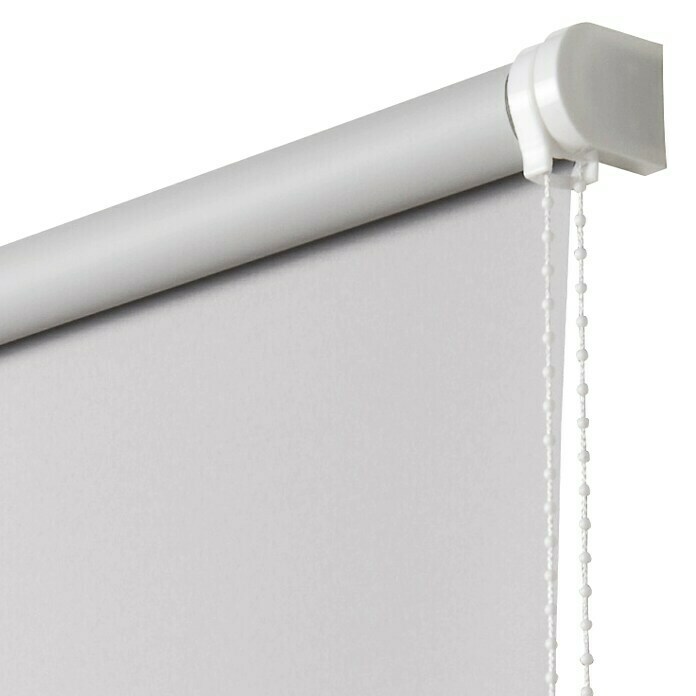 Estor enrollable Roll-up (An x Al: 80 x 180 cm, Gris perla, Opaco)