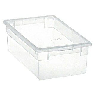 Terry Light Box Caja con tapa (19 x 33,4 x 11 cm, Capacidad: 5 l)