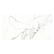 Pavimento porcelánico Palatina (30 x 60 cm, Blanco Carrara, Brillante)