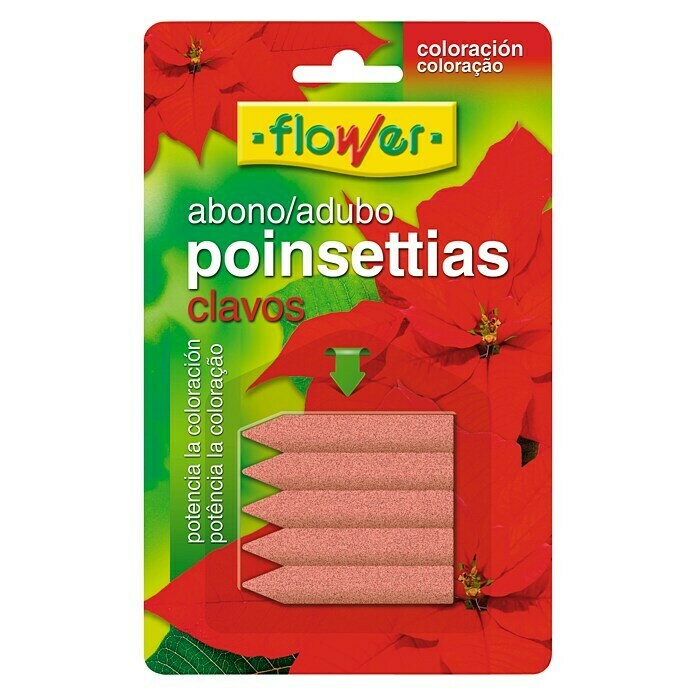 Flower Barritas fertilizantes Poinsettias (5 uds.)