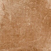 Terrassenfliese Cera 2.0 (Cotto, 60 x 60 x 2 cm, Feinsteinzeug)