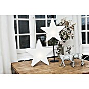8 Seasons Design Shining LED-Weihnachtsstern Window Star (6 W, Weiß, Ø x L: 30 x 10 cm)